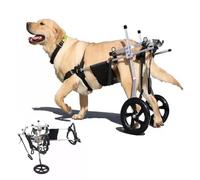 Adjustable Pet Wheelchair for Did Dogs - Lar li Cart for Back Legs, Support for Paralyzed Labrador & Other Bs, Recovery Wheels (X-Lar)
