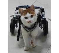 Adjustable Pet Wheelchair for Dogs and Cats, Rear Support Mobility Aid for Paralysis, Small Animals