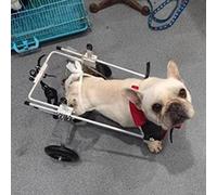 Adjustable Pet Wheelchair for Dogs Cats & Puppies - Medium Size Mobility Aid Cart for Enhanced Support & Rehabilitation Ideal for Disabled Pets