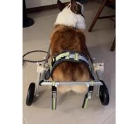 Adjustable Pet Wheelchair for Lar Dogs - Aluminum li Aid for Paralysis & Weakness in Hind Legs - 2-Person Support for Enhanced Comfort and Movement