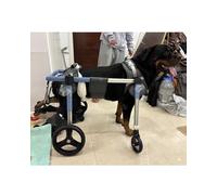 Adjustable Pet Wheelchair for Paralyzed Dogs - Full Support Trolley Cart for Small, Mum & Lar Bs - Perfect for Walking & li (L Size)