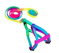 Adjustable Rainbow Small Rabbit Cat Collar Leash Band Dog Pets Lead Harness Strap Belt