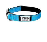 Adjustable Reflective Dog Collar Nylon Custom Engraved Name ID Tag Personalized(Light Blue,L 34-56cm)