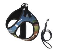 Adjustable Reflective Dog Harness Vest, Breathable Pet Walking Harness With Accessories Leash, Baseball Sports Field Print, Secure No-Slip, Escape Proof, Step-in Pet Vest for Puppy, Cats, L