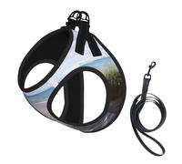 Adjustable Reflective Dog Harness Vest, Breathable Pet Walking Harness With Accessories Leash, Beach Scenery Print, Secure No-Slip, Escape Proof, Step-in Pet Vest for Puppy, Cats, L