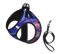 Adjustable Reflective Dog Harness Vest, Breathable Pet Walking Harness With Accessories Leash, Beauty Grand Canyon Print, Secure No-Slip, Escape Proof, Step-in Pet Vest for Puppy, Cats, M
