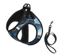 Adjustable Reflective Dog Harness Vest, Breathable Pet Walking Harness With Accessories Leash, Blue Hexagons and Diamonds, Secure No-Slip, Escape Proof, Step-in Pet Vest for Puppy, Cats, S