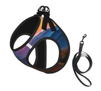 Adjustable Reflective Dog Harness Vest, Breathable Pet Walking Harness With Accessories Leash, Blue Ridge Parkway Mountains, Secure No-Slip, Escape Proof, Step-in Pet Vest for Puppy, Cats, S