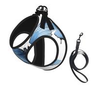Adjustable Reflective Dog Harness Vest, Breathable Pet Walking Harness With Accessories Leash, Butterfly Print, Secure No-Slip, Escape Proof, Step-in Pet Vest for Puppy, Cats, L