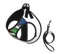 Adjustable Reflective Dog Harness Vest, Breathable Pet Walking Harness With Accessories Leash, Chameleon listen music Print, Secure No-Slip, Escape Proof, Step-in Pet Vest for Puppy, Cats, M