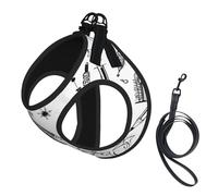 Adjustable Reflective Dog Harness Vest, Breathable Pet Walking Harness With Accessories Leash, Chemistry Print Print, Secure No-Slip, Escape Proof, Step-in Pet Vest for Puppy, Cats, M