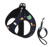 Adjustable Reflective Dog Harness Vest, Breathable Pet Walking Harness With Accessories Leash, Constellation Star Clusters, Secure No-Slip, Escape Proof, Step-in Pet Vest for Puppy, Cats, S