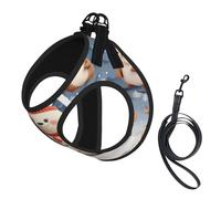Adjustable Reflective Dog Harness Vest, Breathable Pet Walking Harness With Accessories Leash, Cute Animals with Snowman, Secure No-Slip, Escape Proof, Step-in Pet Vest for Puppy, Cats, M