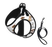 Adjustable Reflective Dog Harness Vest, Breathable Pet Walking Harness With Accessories Leash, Cute Chihuahua Pug Pattern, Secure No-Slip, Escape Proof, Step-in Pet Vest for Puppy, Cats, S