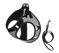 Adjustable Reflective Dog Harness Vest, Breathable Pet Walking Harness With Accessories Leash, Cute dachshund Print, Secure No-Slip, Escape Proof, Step-in Pet Vest for Puppy, Cats, S