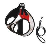 Adjustable Reflective Dog Harness Vest, Breathable Pet Walking Harness With Accessories Leash, Cute guinea pigs Print, Secure No-Slip, Escape Proof, Step-in Pet Vest for Puppy, Cats, M