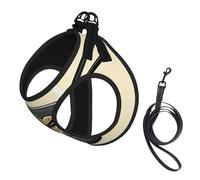 Adjustable Reflective Dog Harness Vest, Breathable Pet Walking Harness With Accessories Leash, Delicious Sweet Ramen Print, Secure No-Slip, Escape Proof, Step-in Pet Vest for Puppy, Cats, S