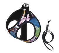Adjustable Reflective Dog Harness Vest, Breathable Pet Walking Harness With Accessories Leash, dragonfly painting Print, Secure No-Slip, Escape Proof, Step-in Pet Vest for Puppy, Cats, S