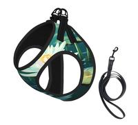 Adjustable Reflective Dog Harness Vest, Breathable Pet Walking Harness With Accessories Leash, Dragonfly with Water Lily, Secure No-Slip, Escape Proof, Step-in Pet Vest for Puppy, Cats, M