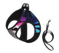 Adjustable Reflective Dog Harness Vest, Breathable Pet Walking Harness With Accessories Leash, Exotic Tribe Tie Dye Style, Secure No-Slip, Escape Proof, Step-in Pet Vest for Puppy, Cats, M
