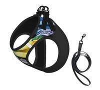Adjustable Reflective Dog Harness Vest, Breathable Pet Walking Harness With Accessories Leash, Exotic Tribe Tie Dye Print, Secure No-Slip, Escape Proof, Step-in Pet Vest for Puppy, Cats, S