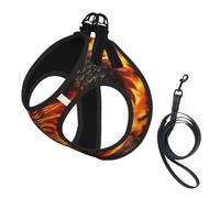 Adjustable Reflective Dog Harness Vest, Breathable Pet Walking Harness With Accessories Leash, Fire Chinese Dragon Print, Secure No-Slip, Escape Proof, Step-in Pet Vest for Puppy, Cats, M