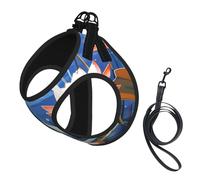 Adjustable Reflective Dog Harness Vest, Breathable Pet Walking Harness With Accessories Leash, Floral Print, Secure No-Slip, Escape Proof, Step-in Pet Vest for Puppy, Cats, S