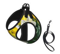 Adjustable Reflective Dog Harness Vest, Breathable Pet Walking Harness With Accessories Leash, Flower Print, Secure No-Slip, Escape Proof, Step-in Pet Vest for Puppy, Cats, S