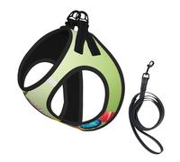 Adjustable Reflective Dog Harness Vest, Breathable Pet Walking Harness With Accessories Leash, Flowers Print, Secure No-Slip, Escape Proof, Step-in Pet Vest for Puppy, Cats, M