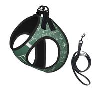 Adjustable Reflective Dog Harness Vest, Breathable Pet Walking Harness With Accessories Leash, Formulas Math Print, Secure No-Slip, Escape Proof, Step-in Pet Vest for Puppy, Cats, M