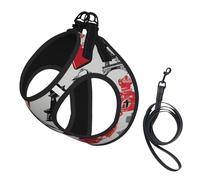 Adjustable Reflective Dog Harness Vest, Breathable Pet Walking Harness With Accessories Leash, French Fashion Model Ferrets, Secure No-Slip, Escape Proof, Step-in Pet Vest Harnesses for Puppy, Cats, S