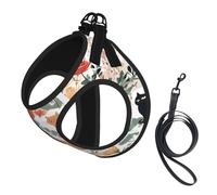Adjustable Reflective Dog Harness Vest, Breathable Pet Walking Harness With Accessories Leash, Funny Cats Birds and Flowers, Secure No-Slip, Escape Proof, Step-in Pet Vest for Puppy, Cats, M