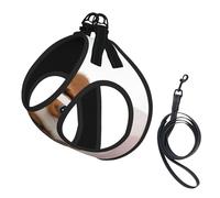 Adjustable Reflective Dog Harness Vest, Breathable Pet Walking Harness With Accessories Leash, Golden Retriever Print, Secure No-Slip, Escape Proof, Step-in Pet Vest for Puppy, Cats, S