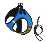 Adjustable Reflective Dog Harness Vest, Breathable Pet Walking Harness With Accessories Leash, Golf course by the sea Print, Secure No-Slip, Escape Proof, Step-in Pet Vest for Puppy, Cats, S