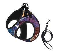 Adjustable Reflective Dog Harness Vest, Breathable Pet Walking Harness With Accessories Leash, Grand Canyon, Secure No-Slip, Escape Proof, Step-in Pet Vest Harnesses for Puppy, Cats, L