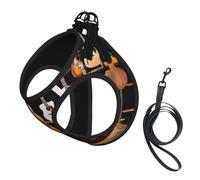 Adjustable Reflective Dog Harness Vest, Breathable Pet Walking Harness With Accessories Leash, Guitar Bass, Secure No-Slip, Escape Proof, Step-in Pet Vest Harnesses for Puppy, Cats, S