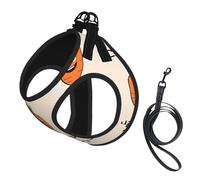Adjustable Reflective Dog Harness Vest, Breathable Pet Walking Harness With Accessories Leash, Happy carrot Print, Secure No-Slip, Escape Proof, Step-in Pet Vest for Puppy, Cats, M