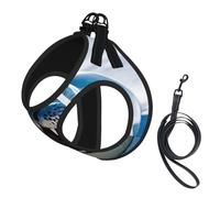 Adjustable Reflective Dog Harness Vest, Breathable Pet Walking Harness With Accessories Leash, Harp Seal Painting Wallpaper, Secure No-Slip, Escape Proof, Step-in Pet Vest Harnesses for Puppy, Cats, L