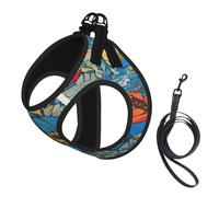 Adjustable Reflective Dog Harness Vest, Breathable Pet Walking Harness With Accessories Leash, Hello Hawaii, Secure No-Slip, Escape Proof, Step-in Pet Vest Harnesses for Puppy, Cats, S