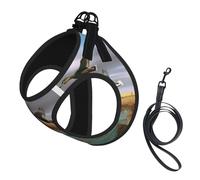 Adjustable Reflective Dog Harness Vest, Breathable Pet Walking Harness With Accessories Leash, Hunting Flying Wild Ducks, Secure No-Slip, Escape Proof, Step-in Pet Vest Harnesses for Puppy, Cats, S