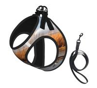 Adjustable Reflective Dog Harness Vest, Breathable Pet Walking Harness With Accessories Leash, Hunting Flying Wild Duck, Secure No-Slip, Escape Proof, Step-in Pet Vest Harnesses for Puppy, Cats, S