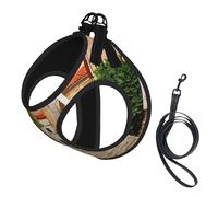 Adjustable Reflective Dog Harness Vest, Breathable Pet Walking Harness With Accessories Leash, Italy Tuscan, Secure No-Slip, Escape Proof, Step-in Pet Vest Harnesses for Puppy, Cats, S