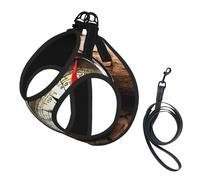 Adjustable Reflective Dog Harness Vest, Breathable Pet Walking Harness With Accessories Leash, Law Compass Navigation Print, Secure No-Slip, Escape Proof, Step-in Pet Vest for Puppy, Cats, M