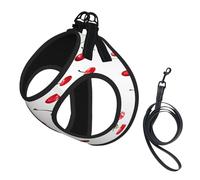 Adjustable Reflective Dog Harness Vest, Breathable Pet Walking Harness With Accessories Leash, lovely sweet red cherry Print, Secure No-Slip, Escape Proof, Step-in Pet Vest for Puppy, Cats, S