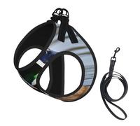 Adjustable Reflective Dog Harness Vest, Breathable Pet Walking Harness With Accessories Leash, mallard duck, Secure No-Slip, Escape Proof, Step-in Pet Vest Harnesses for Puppy, Cats, S
