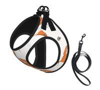 Adjustable Reflective Dog Harness Vest, Breathable Pet Walking Harness With Accessories Leash, Many foxes, Secure No-Slip, Escape Proof, Step-in Pet Vest Harnesses for Puppy, Cats, S