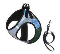 Adjustable Reflective Dog Harness Vest, Breathable Pet Walking Harness With Accessories Leash, Niagara Falls, Secure No-Slip, Escape Proof, Step-in Pet Vest Harnesses for Puppy, Cats, S