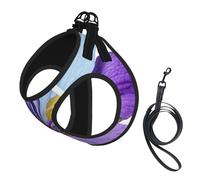 Adjustable Reflective Dog Harness Vest, Breathable Pet Walking Harness With Accessories Leash, Northern Lights Painting, Secure No-Slip, Escape Proof, Step-in Pet Vest Harnesses for Puppy, Cats, L
