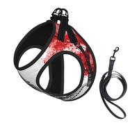 Adjustable Reflective Dog Harness Vest, Breathable Pet Walking Harness With Accessories Leash, Paris, Secure No-Slip, Escape Proof, Step-in Pet Vest Harnesses for Puppy, Cats, L