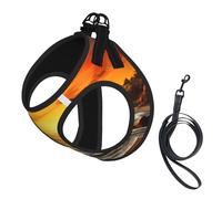 Adjustable Reflective Dog Harness Vest, Breathable Pet Walking Harness With Accessories Leash, pirate ship in the sunset, Secure No-Slip, Escape Proof, Step-in Pet Vest for Puppy, Cats, L